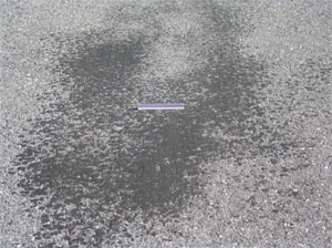 Photo showing a small area (say 20 sf [2 sm]) of an asphalt pavement surface             where asphalt binder material is visible on the pavement's surface.