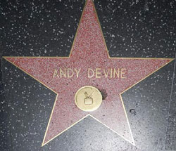 Andy Devine Star