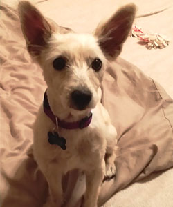 Dottie After