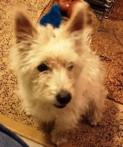 Dottie Before