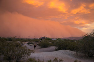 Swirls of Dust