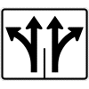 Intersection Lane Control (2 Lane) (Left-Straight / Straight-Right) Sign