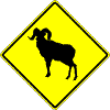 Bighorn Sheep sign